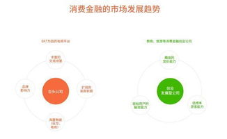 2016年中國互聯(lián)網(wǎng)消費金融營銷發(fā)展 互聯(lián)網(wǎng)銷售渠道的革新與挑戰(zhàn)